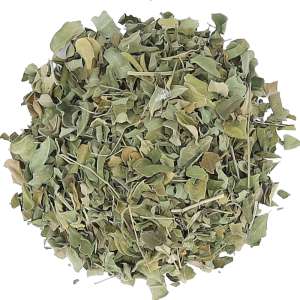 Moringa - liść cięty